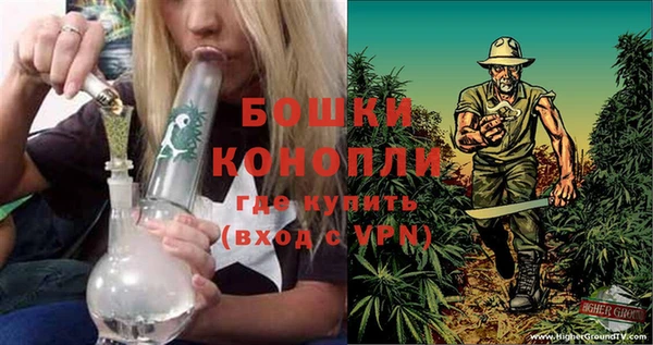 винт Алексеевка