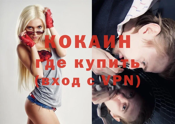 крисы Абаза