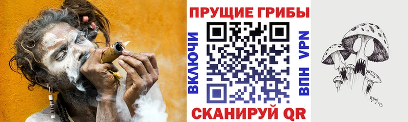 Псилоцибиновые грибы мицелий Череповец