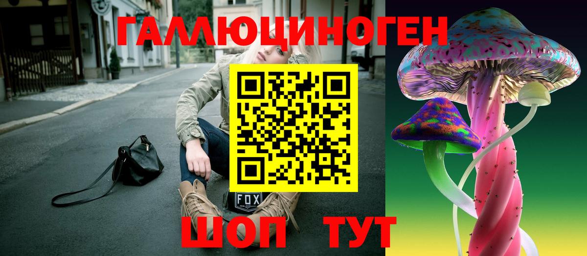 Галлюциногенные грибы Psilocybine cubensis  Вход с VPN  Череповец 